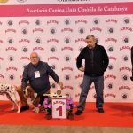 88a Exposició Internacional Canina