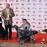 88a Exposició Internacional Canina