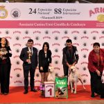 88a Exposició Internacional Canina