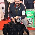 88a Exposició Internacional Canina