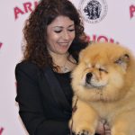 88a Exposició Internacional Canina