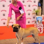 88a Exposició Internacional Canina