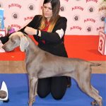 88a Exposició Internacional Canina