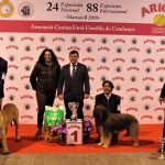 88a Exposició Internacional Canina