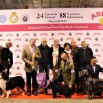 Pòdium Best in Show 88a Exposició Internacional Canina