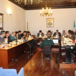 Ple Municipal Febrer 2019