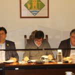 Ple Municipal Febrer 2019