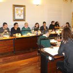 Ple Municipal Febrer 2019