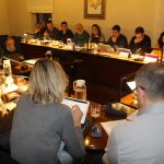 Ple Municipal Febrer 2019