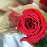 Fira de Sant Jordi