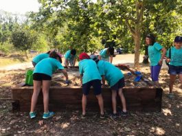 Arqueòlegs per un dia, taller de Museus de Martorell