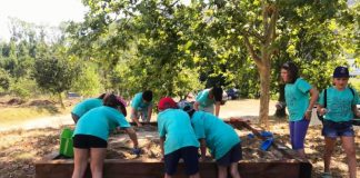 Arqueòlegs per un dia, taller de Museus de Martorell