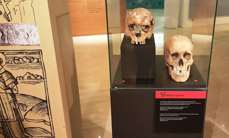 L’exposició ‘Ossos. Un viatge a l’època medieval de la mà de l’antropologia física’ s’inaugura diumenge a La Caserna