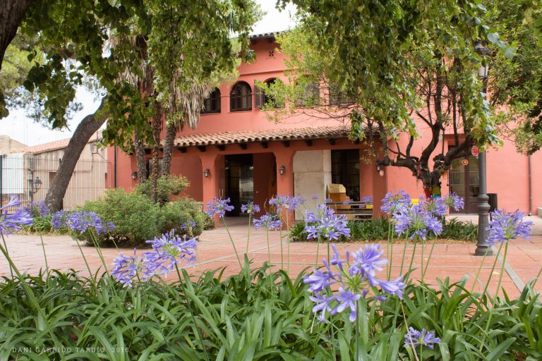 Artistes Plàstics prepara nous cursos de ceràmica i escultura a Ca l’Oller