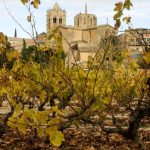 Vins de la DO Costers del Segre