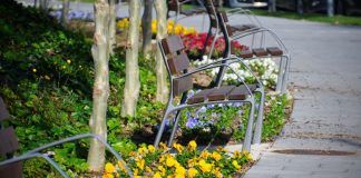Les Tres Flors d’Honor del Viles Florides es queden a Martorell per cinquè any consecutiu Martorell Vila Florida
