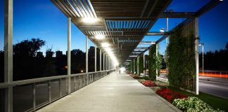 Les Tres Flors d’Honor del Viles Florides 2020 es queden a Martorell Martorell Vila Florida
