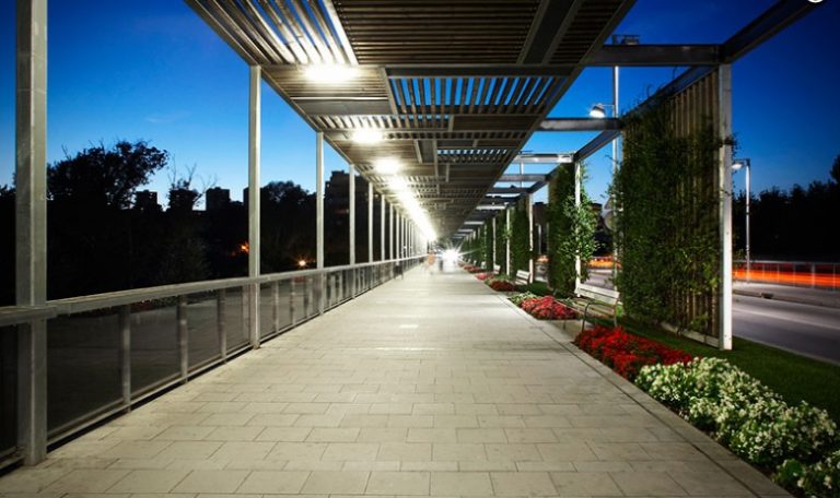 Les Tres Flors d’Honor del Viles Florides 2020 es queden a Martorell