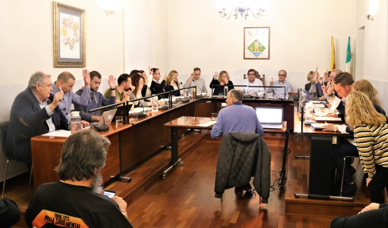 El Ple acorda demanar l’equiparació de les pensions de viudetat per a les parelles de fet