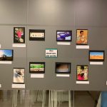 Inauguració de l'exposició fotogràfica Llar-Residència Torrent de Llops