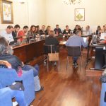 Ple Munnicipal desembre 2019