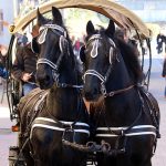 Els Tres Tombs de Martorell 2020