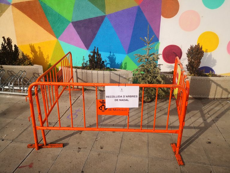 S’instal·len cinc punts gratuïts de recollida d’avets de Nadal a carrers i places