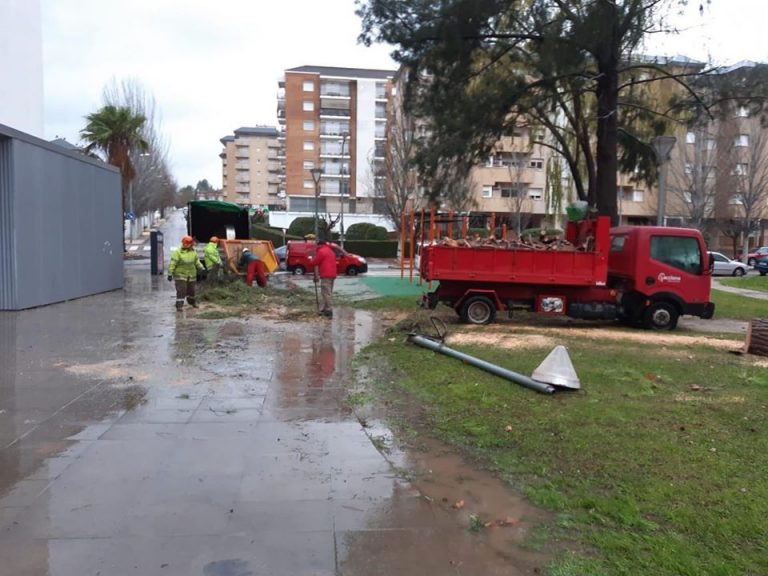 El temporal Glòria deixa mitja dotzena d’arbres caiguts i la crescuda de l’Anoia