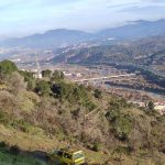 Reforestació de la muntanya de Les Torretes