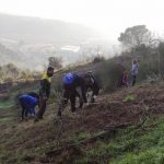 Reforestació de la muntanya de Les Torretes