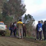 Reforestació de la muntanya de Les Torretes