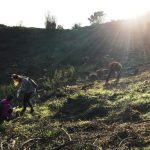 Reforestació de la muntanya de Les Torretes