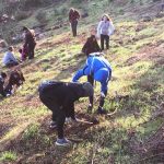 Reforestació de la muntanya de Les Torretes