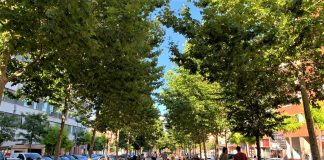 Martorell i tot Catalunya avancen cap a la nova normalitat aquesta mitjanit