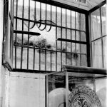 Imatges del robatori al Museu (FOTOPORTA)