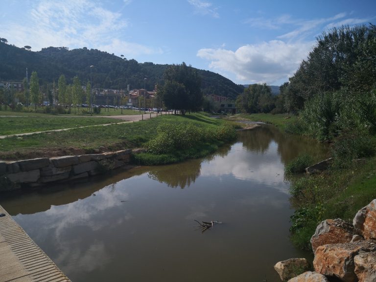 L’associació Hàbitats programa una activitat de descoberta del riu Anoia aquest dissabte