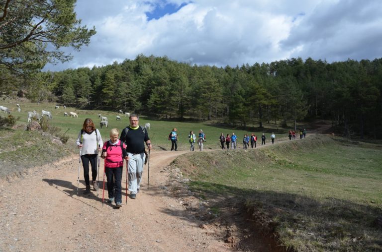 L’AEM confecciona el calendari de sortides d’iniciació i muntanya per tot el curs