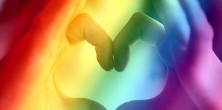 L’Ajuntament es compromet a seguir lluitant contra la LGTBI-fòbia i a defensar la igualtat afectiva