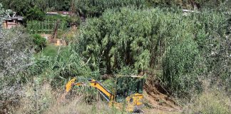 Comencen les actuacions de millora ambiental dels marges del tram final del riu Anoia