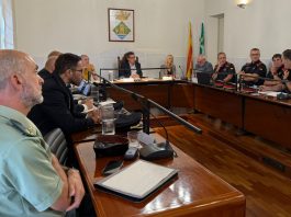 Els fets delictius disminueixen a Martorell i se situen per sota de la mitjana catalana