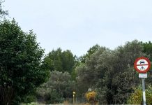 La Generalitat relaxa les mesures de contenció per la Pesta Porcina Africana