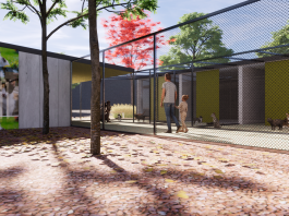 L’Ajuntament de Martorell impulsa la construcció d’un refugi felí municipal