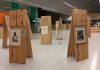 La Biblioteca acull fins al 23 d’abril l’exposició ‘Flors de debò’, inspirada en l’obra de Mercè Rodoreda