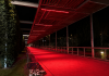 Martorell dona suport a la Setmana Mundial de l’Hemocromatosi il·luminant el pont d’Anoia de vermell