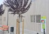 Nou DEA d’accés públic a la FHSJDM per reforçar la resposta davant emergències cardíaques