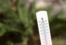 Protecció Civil activa l’alerta del PROCICAT per la tercera onada de calor, que s’allargarà almenys fins dimecres