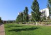 Crear espais d’ombra al Parc de La Sínia, idea més votada als Pressupostos Participatius