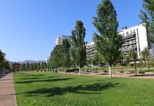 Crear espais d’ombra al Parc de La Sínia, idea més votada als Pressupostos Participatius
