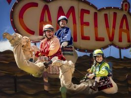 Campi qui pugui porta a la Festa Major de Martorell ‘Camelvà’, la cursa de camells més trapella